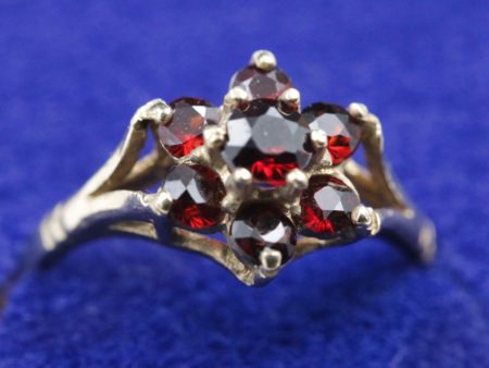 05 - 119.1_9ct gold ring with red stones_98357