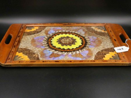 05 - 143.1_Vintage tray inlaid with insect wings under glass_98381