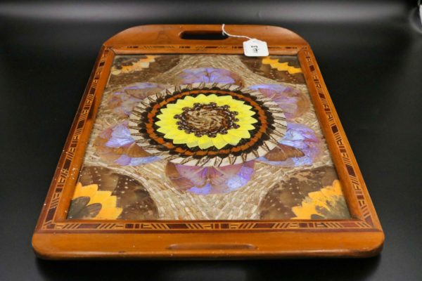 05 - 143.2_Vintage tray inlaid with insect wings under glass_98381
