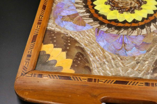05 - 143.4_Vintage tray inlaid with insect wings under glass_98381