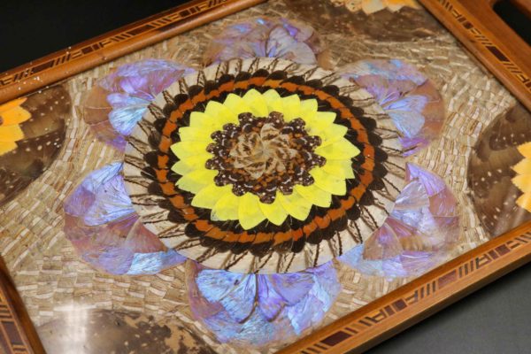 05 - 143.6_Vintage tray inlaid with insect wings under glass_98381