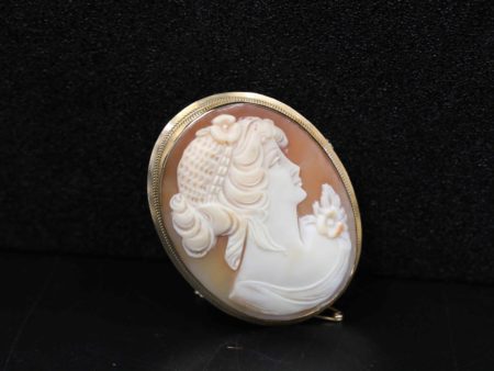 05 - 283.1_Cameo in 9ct gold surround_98782