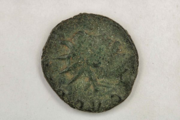 05 - 84.2_Emperor Gallienus Ancient Roman Zoo Coin_97650