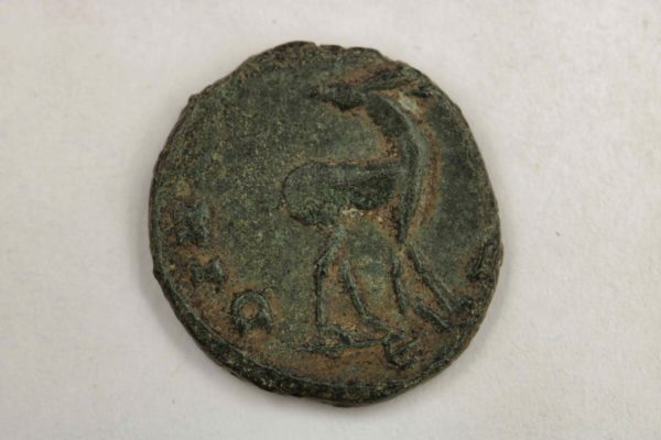 05 - 84.4_Emperor Gallienus Ancient Roman Zoo Coin_97650