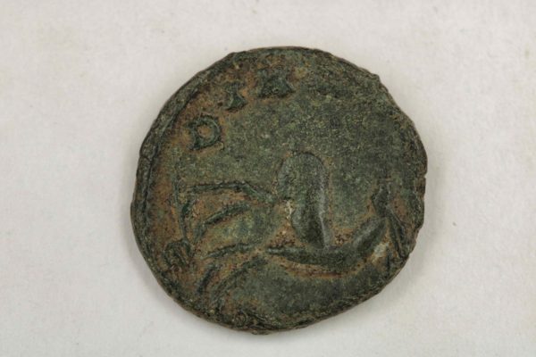 05 - 84.5_Emperor Gallienus Ancient Roman Zoo Coin_97650