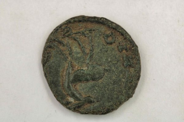 05 - 84.6_Emperor Gallienus Ancient Roman Zoo Coin_97650