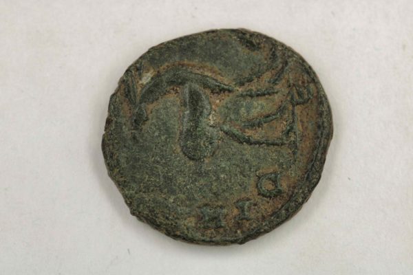 05 - 84.7_Emperor Gallienus Ancient Roman Zoo Coin_97650